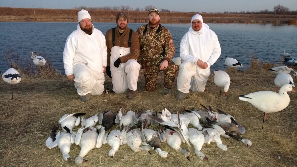 Missouri Snow Goose Hunting Photo